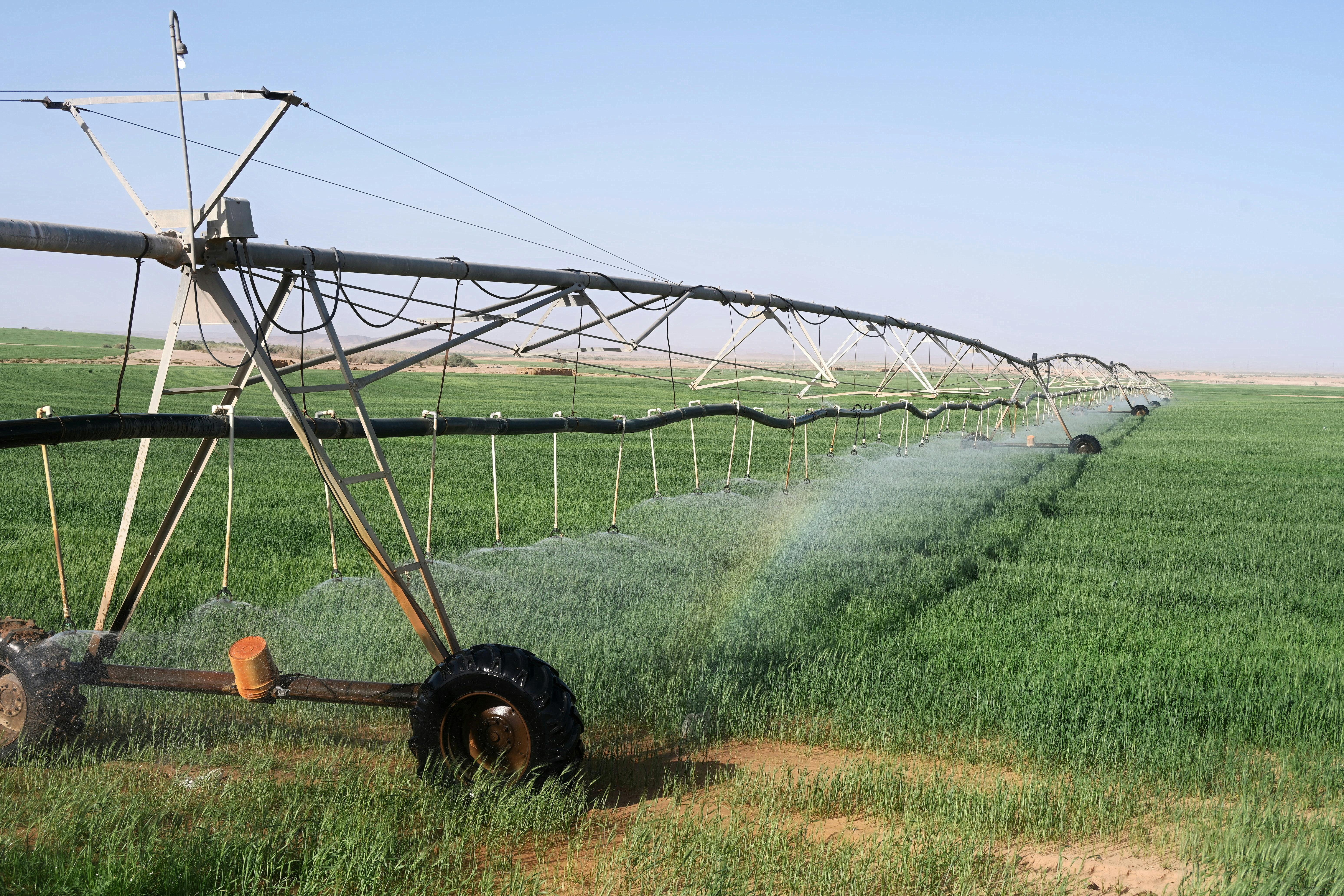 Agricultural tools and irrigation equipment on shelves